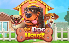 The Dog House